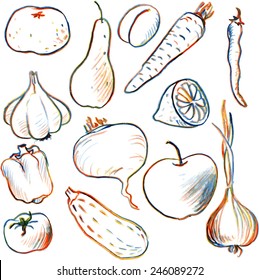 Set of vector vegetables  and fruits drawing by colored pencils, hand drawn food illustration