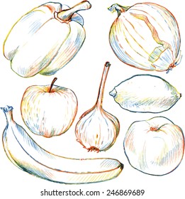 Set of vector vegetables  and fruits drawing by colored pencils, hand drawn vector illustration