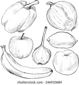 Set of vector vegetables  and fruits drawing by pencil, hand drawn illustration