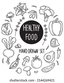 Set of vector vegetables and fruits, root vegetables and mushrooms, legumes and spicy plants, food in linear hand drawn doodle style. Isolated hand drawings for design and decor on white background