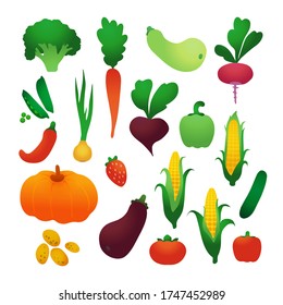 Set of vector vegetables. Harvest. Healthy food. Farm organic products.
