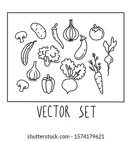 Set of vector vegetables. Simple outline.  carrots, tomato, cucumber, radish, mushrooms, mushrooms, onions, garlic, pepper, eggplant