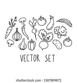 Set of vector vegetables. Simple outline.  carrots, tomato, cucumber, radish, mushrooms, mushrooms, onions, garlic, pepper, eggplant