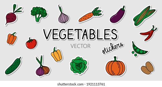 Set of vector vegetables stickers. Collection of cartoon elements with shadows on the grey background. Colorful stickers with healthy food