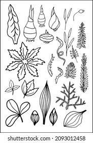 Conjunto de elementos decorativos vectoriales botánicos en blanco y negro, contornos y diferentes formas de hojas tropicales, siluetas de hojas.