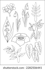 Set of vector vegetal botanical decorative elements in black and white, contours and different forms of tropical leaves, silhouettes of leaves and flowers.