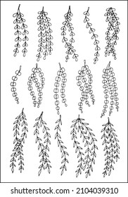 Set of vector vegetal decorative elements in black and white, contours and different forms of eucalyptus leaves, silhouettes of leaves.