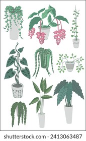 Set vector vegetal decorative