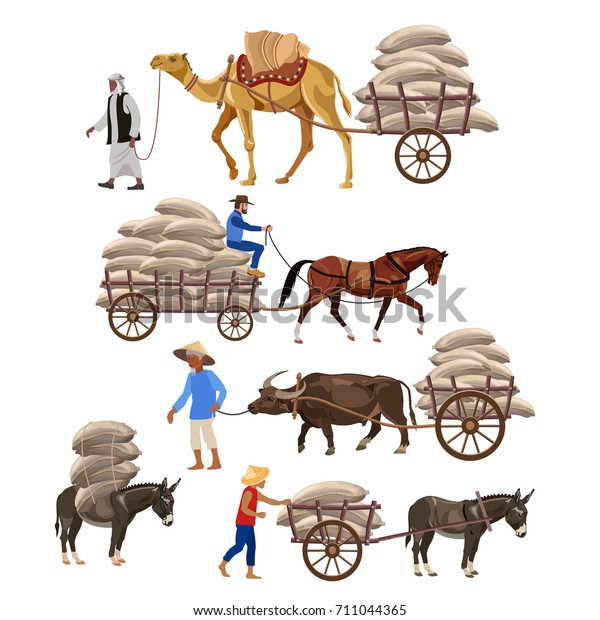 Set of vector vehicles\
with draft animals: camel, horse, water buffalo, and donkey. Vector\
illustration