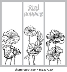 Set of vector vertical banners with hand drawn poppies on white background.