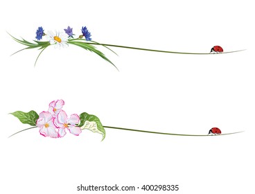set of vector vignettes with flowers and ladybird (EPS10)