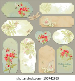 Set of vector vintage cards with dragonflies, branch blossoming Japanese quince, elder and colibri