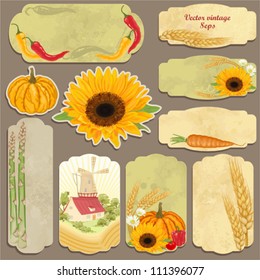 Set of vector vintage cards with vegetables, mill, sunflower and wheat ears