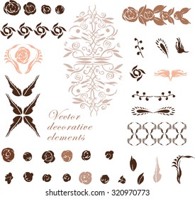 Set of vector vintage decorative and floral elements for brushes, frames with hand drawn ornamental strokes