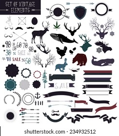 Set of vector vintage elements for design.