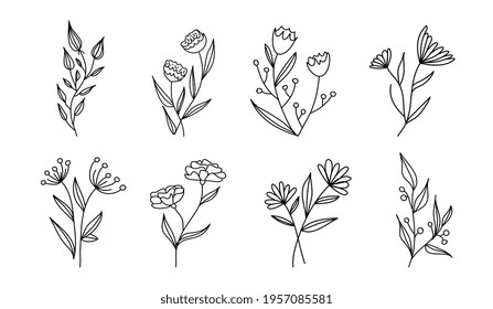 Set of vector vintage floral elements. Cute set of doodle vector. Elements flowers, branches, swashes and flourishes