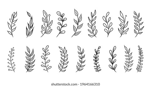 Set of vector vintage floral elements. Cute set of doodle frames and borders. Elements flowers, branches, swashes and flourishes	