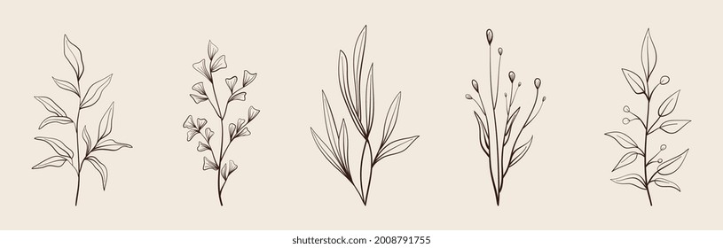 Set of vector vintage floral elements. Cute set of doodle vector. Elements flowers, branches, swashes and flourishes	
