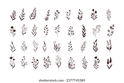Conjunto de elementos vectoriales florales. Dibujo de mano linea linda arte . Elementos flores, ramas, estallidos y florecimiento	