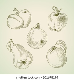Set of vector vintage fruit, stylized drawing hands