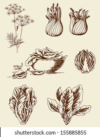 Set of vector vintage hand drawn vegetables