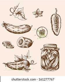 Set of vector vintage hand drawn cucumbers. Vegetable icons in retro style