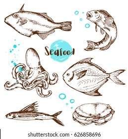 Set of vector vintage hand drawn fish, octopus and crab on a white background. 