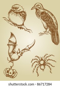 set of vector vintage hand drawn animals