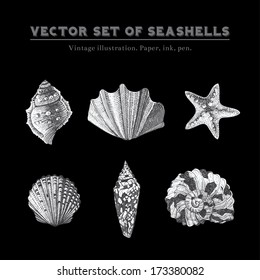 Set of vector vintage seashells. Five black and white illustrations of shells and starfish on a black background.