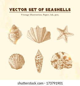 Set of vector vintage seashells. Five illustrations of shells and starfish on a beige background.