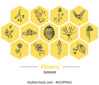 Set of vector vintage template label with hand draw flowers and herbs. Layout, mockup design for honey, cosmetics shop, beauty salon, natural and organic products. Organic plants sketch background.