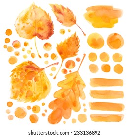 Set of vector watercolor bright autumn leaves on a white background, a set of abstract spots for text. Design elements