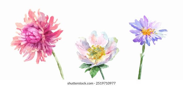 Set of the vector watercolor bright hand drawn flowers isolated on white background. Unique print  for design, greeting card. Modern cute botanical image. Creative style art for trendy design. Eps 10.