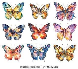 A set of vector Watercolor Butterfly. Summer. For scrapbook, label, poster, print, menu
