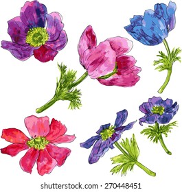 set of vector watercolor drawing wind flowers, hand drawn  illustration