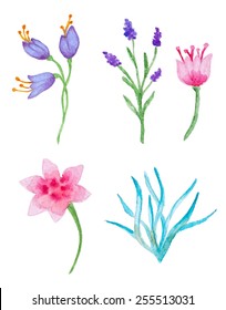 Set of vector watercolor floral elements for design