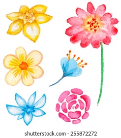 Set of vector watercolor floral elements for design