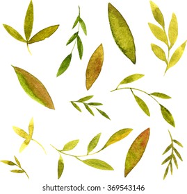 set of vector watercolor green branches and leaves, hand drawn natural design elements