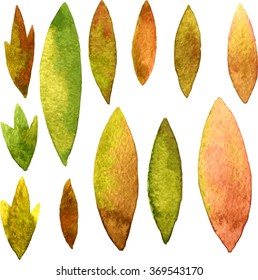 set of vector watercolor green and brown leaves, hand drawn isolated natural design elements