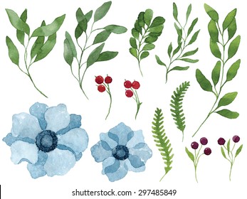 A set of vector watercolor leaves, blue anemone flowers, berries and branches. Design elements for patterns, laurels and compositions, wedding or invitations. Vector watercolor. Vectorized painting.