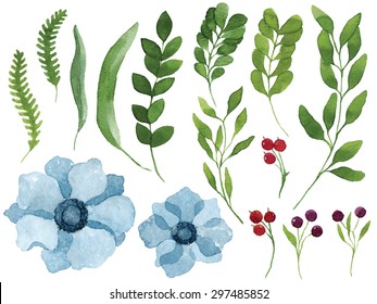 A set of vector watercolor leaves, blue anemone flowers, berries and branches. Design elements for patterns, laurels and compositions, wedding or invitations. Vector watercolor. Vectorized painting.