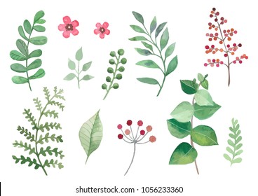 A set of vector watercolor leaves and branches. Lovely design elements to make your own patterns, laurels and compositions. Great for wedding or invitations. Vector watercolor. Vectorized painting.