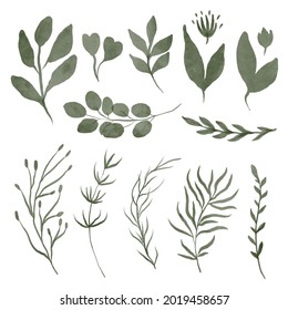 Set of vector watercolor leaves and branches. Lovely design element to make your own pattern, laurels and compositions. Great for wedding or invitations