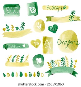 Set of vector watercolor nature elements. Organic eco design elements isolated on white background.