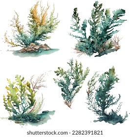 Set of vector watercolor seaweed and corals isolated on white. Sea theme, design element, decoration of water entertainment places, parks, beaches.