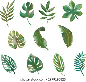 Set of Vector Watercolor Tropical Leaves.Handpainted Leaves Floral illustration