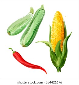 Set of vector watercolor vegetables. Zucchini, corn, red chili
