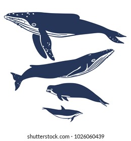 Set of vector whales and dolphins. Hand drawn illustration