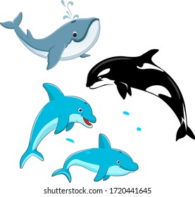 Set of vector whales and dolphins. Vector illustration of marine mammals, such as blue whale, dolphin, killer whale
