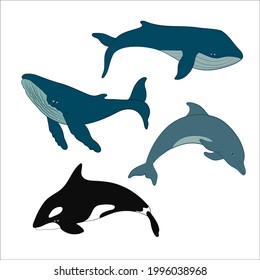 Set of vector whales and dolphins. Vector illustration of marine mammals, such as blue whale, humpback whale, dolphin and killer whale.